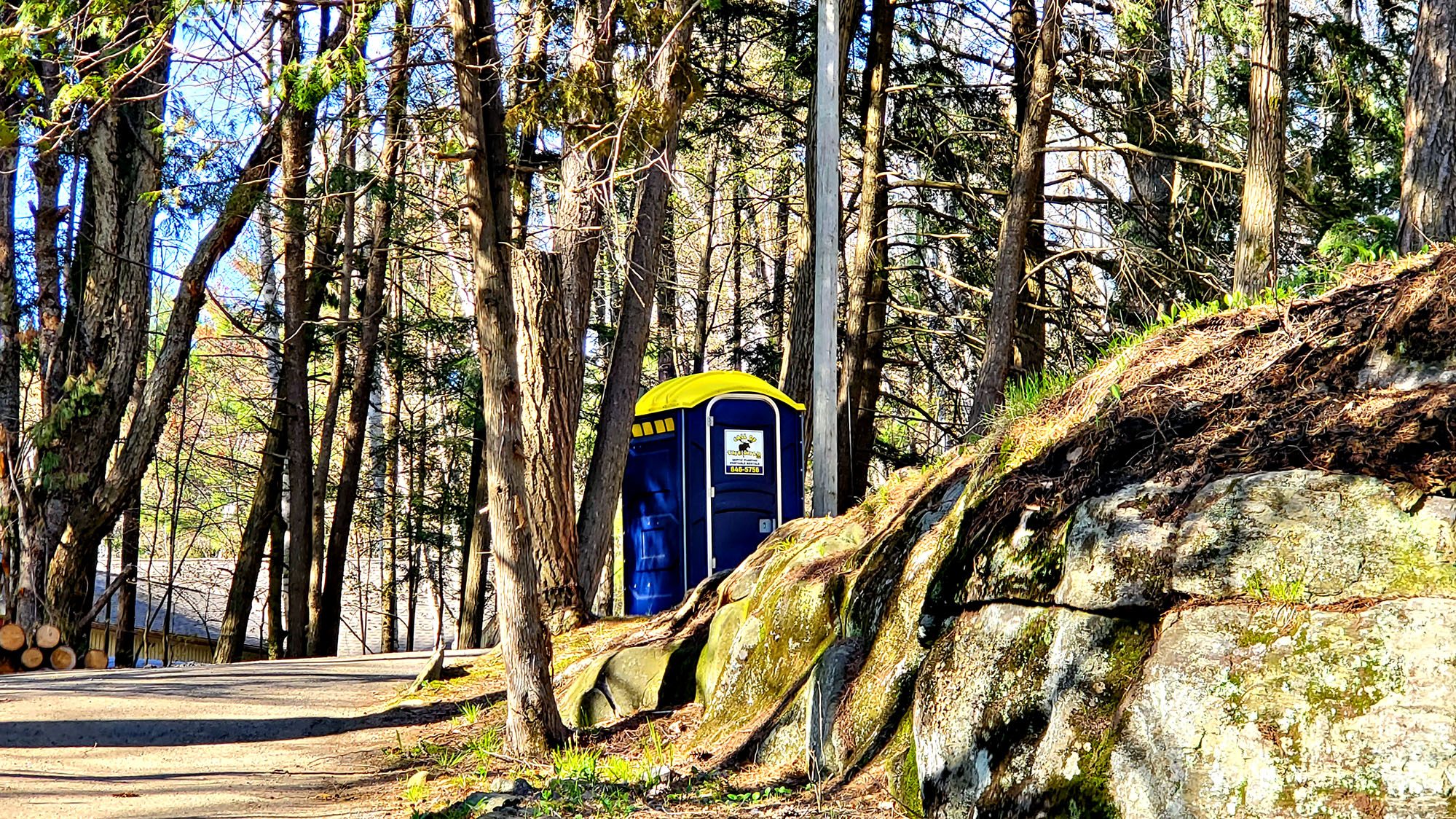 Portable toilet in wooded park setting