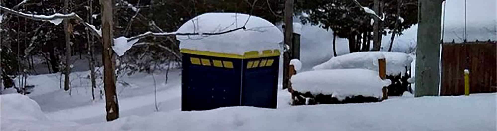 Snow-covered TARDIS replica in a snowy winter forest