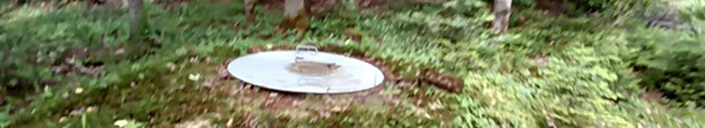 Small silver UFO model on ground in dense forest