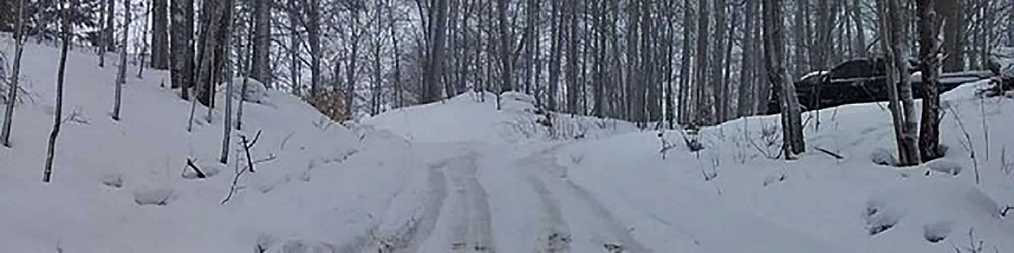 Snow-covered road through a forest with tire tracks and a parked truck