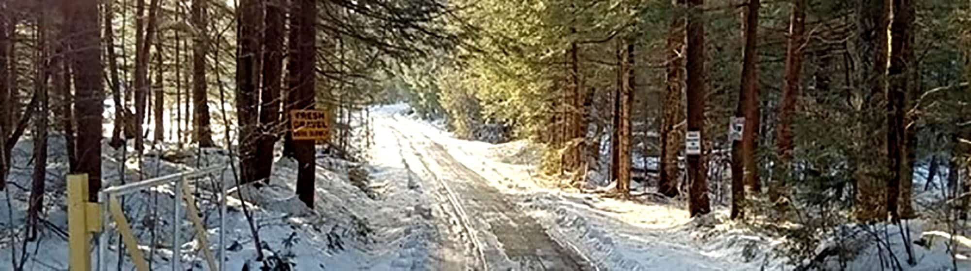 Snowy forest trail with sunlight filtering through trees