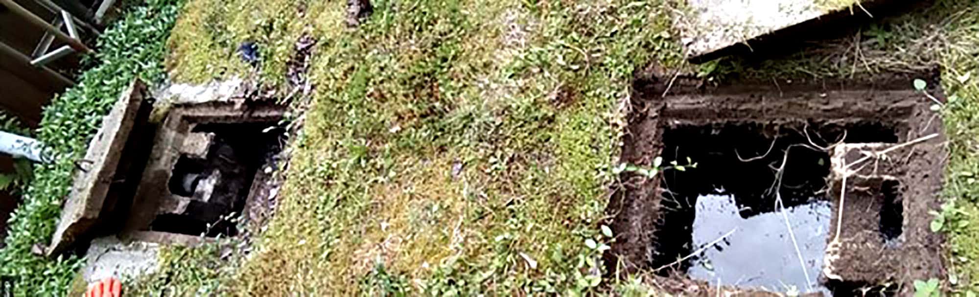 Open septic tank lids in grassy area
