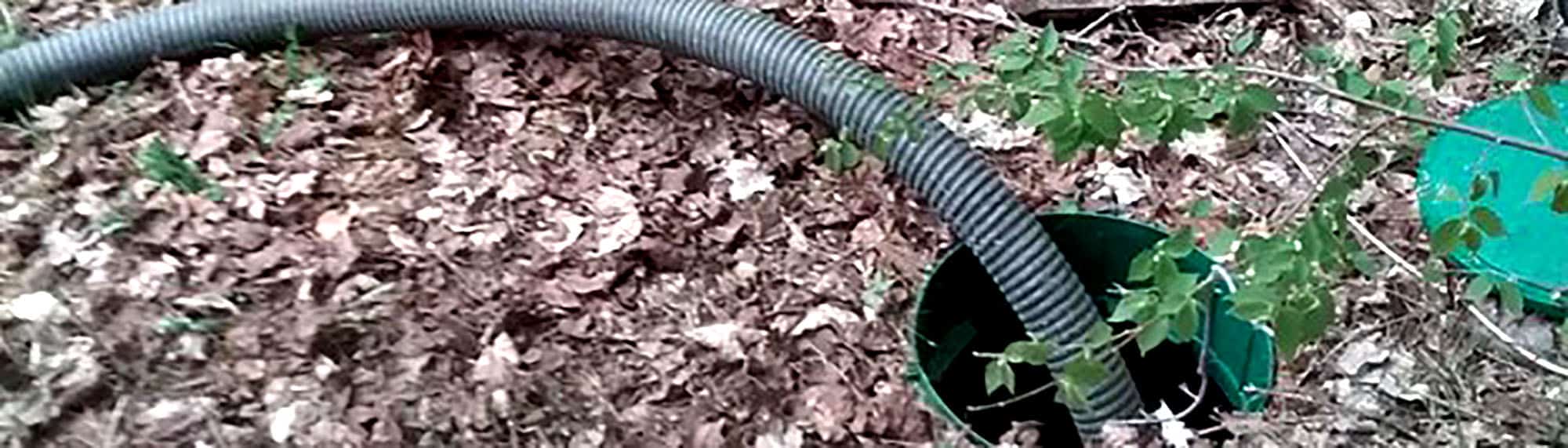 Septic system hose connected to outdoor tank in forested area