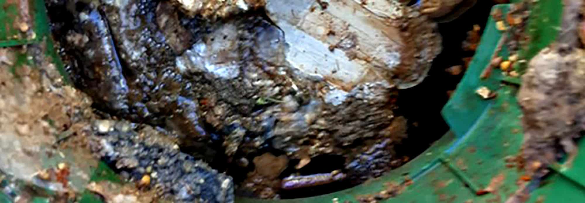Close-up of muddy septic tank interior